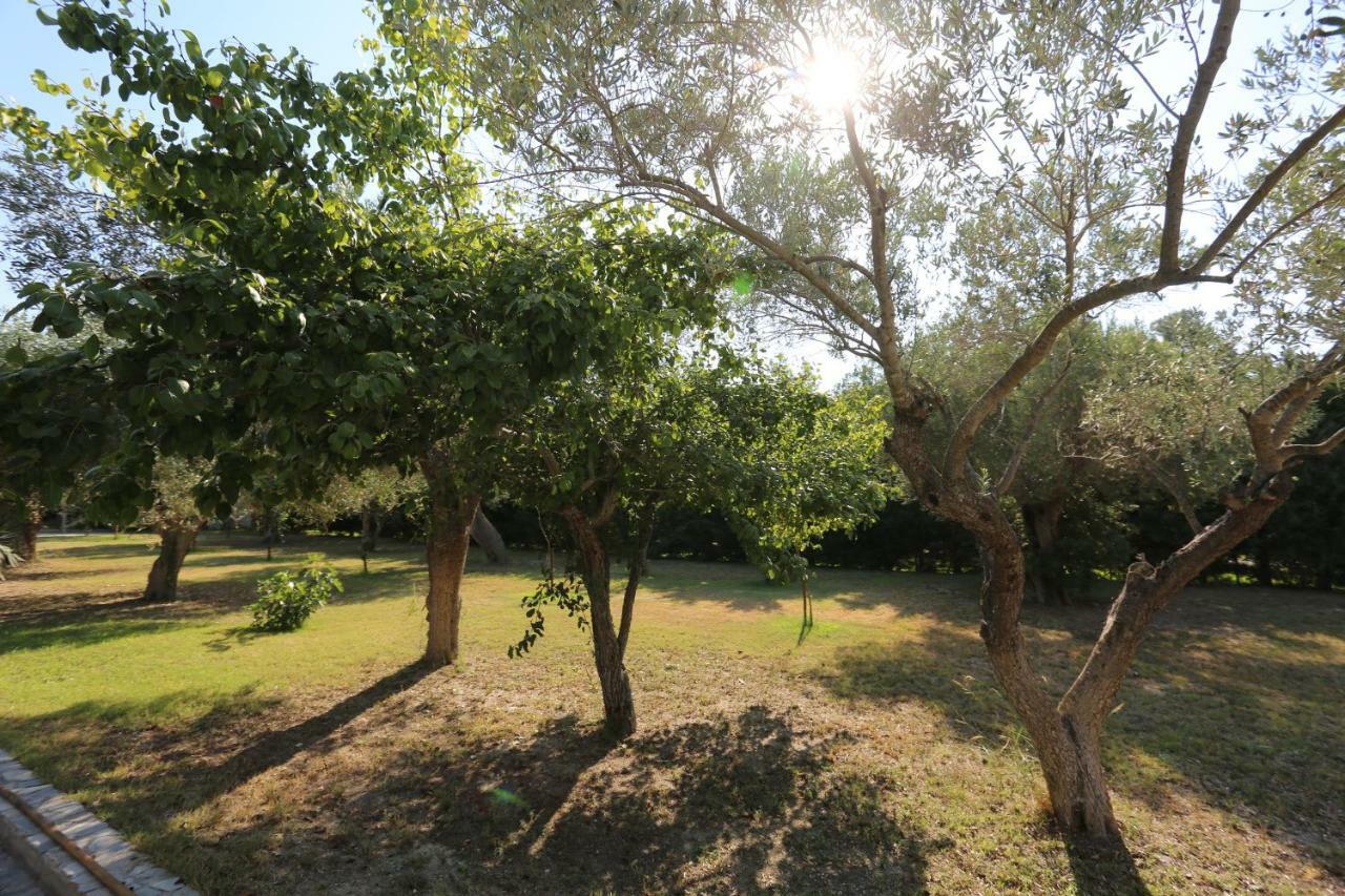 Villa Argo 3 - Beachfront, Big Gardens, Location! Пефкохорі Екстер'єр фото